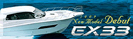 EX33
