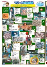 釣果情報(2017年7月vol.28)