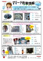釣果情報(2012年11月vol.10)