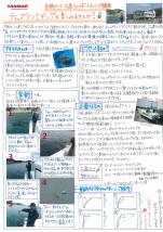 ヤンマー便り(2013年2月vol.11)