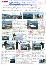 ヤンマー便り(2013年5月vol.12)