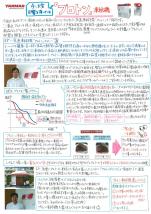 ヤンマー便り(2014年8月vol.17)