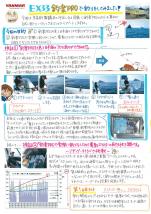 ヤンマー便り(2013年8月vol.13)