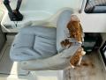 thumbnail.php?w=220&h=165&f=boat_568_interior_photo_01.jpg