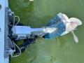 thumbnail.php?w=220&h=165&f=boat_568_other_photo_02.jpg