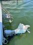 thumbnail.php?w=220&h=165&f=boat_568_other_photo_03.jpg